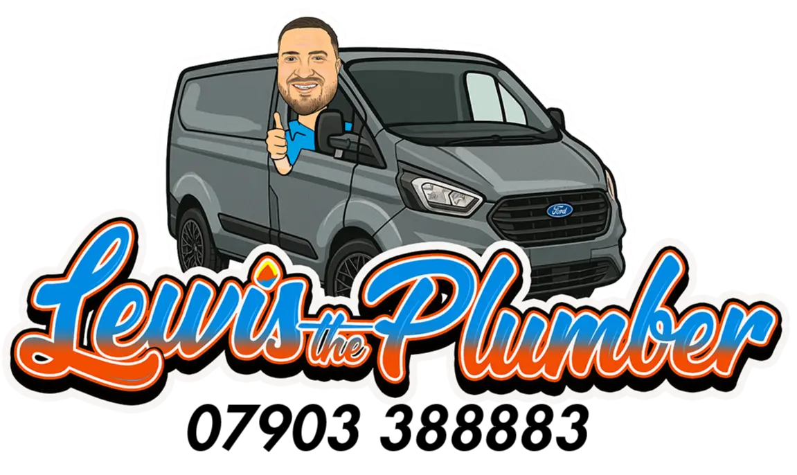 Lewis the Plumber standing next to a branded service van